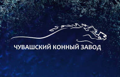 Интернет-аукцион лошадей рысистых пород на Чувашском конном заводе им. В.И. Чапаева