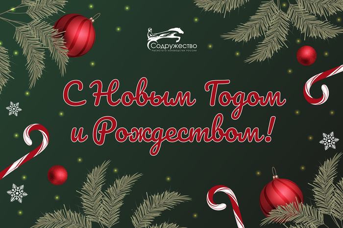 С Новым 2025 годом и Рождеством!